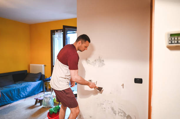 Best Commercial Mold Remediation in Espaola, NM
